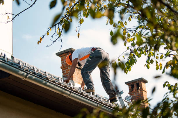 Roof Gutter Cleaning in Alturas, CA